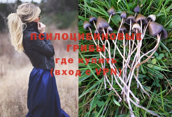 экстази Белокуриха