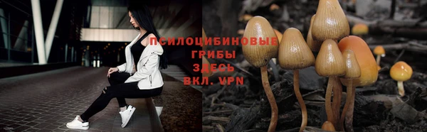 прущая мука Белоозёрский