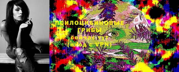 экстази Белокуриха