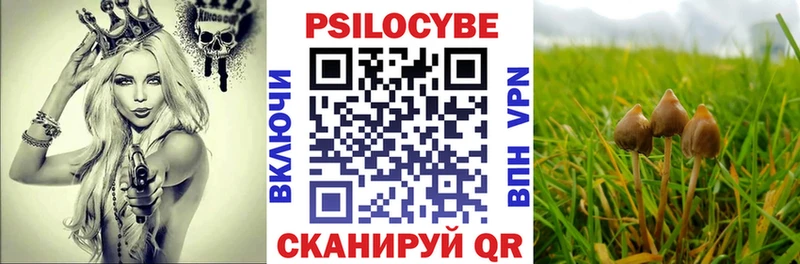 Галлюциногенные грибы Psilocybine cubensis  где продают наркотики  Котельники 